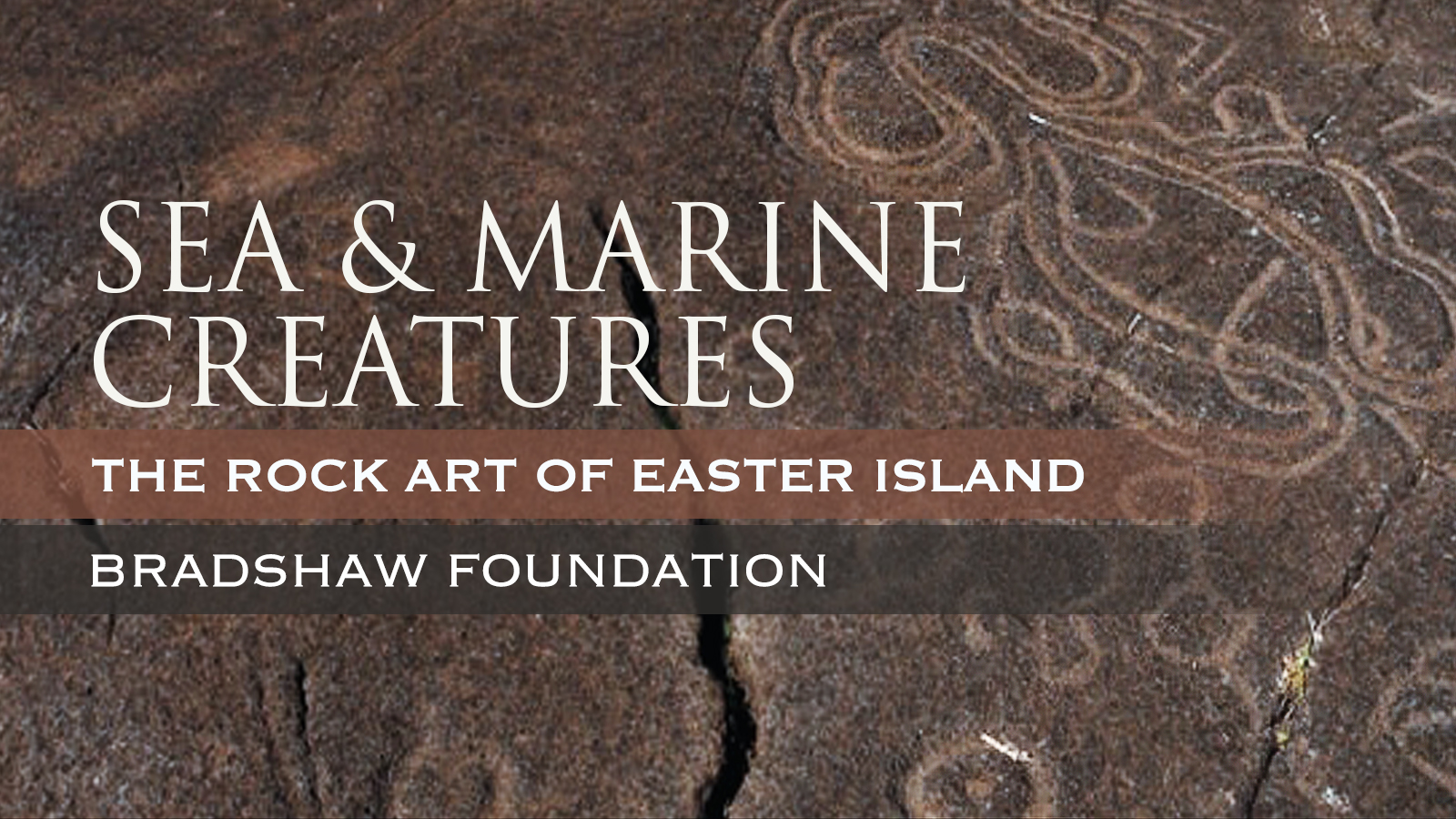 Sea Marine Creatures Easter Island Rapa Nui