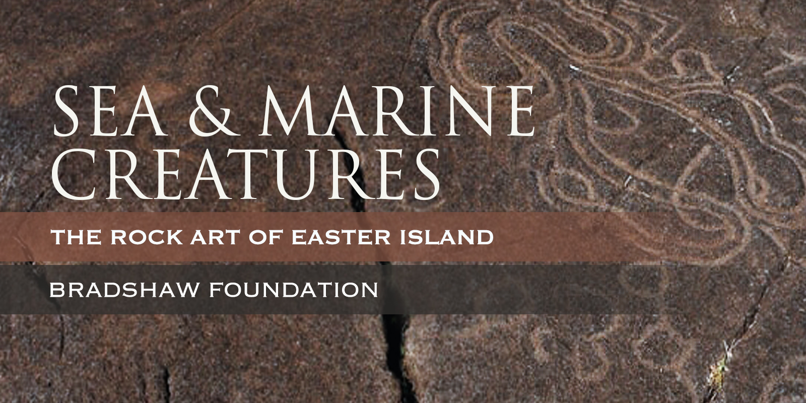 Sea Marine Creatures Easter Island Rapa Nui
