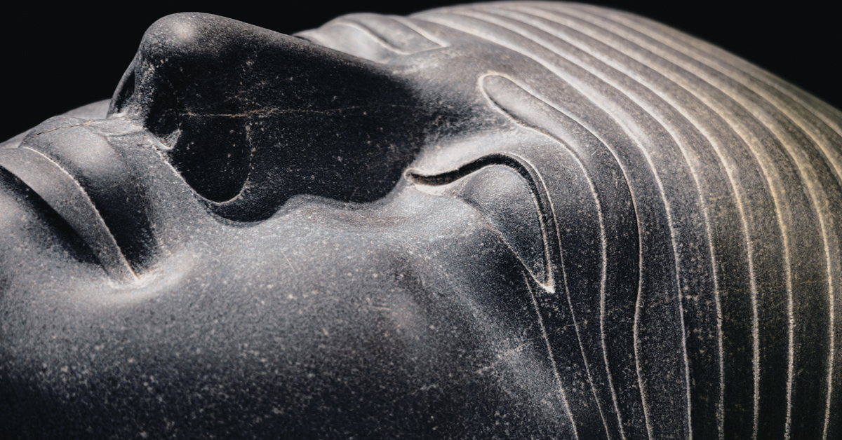 Bradshaw Foundation Twitter