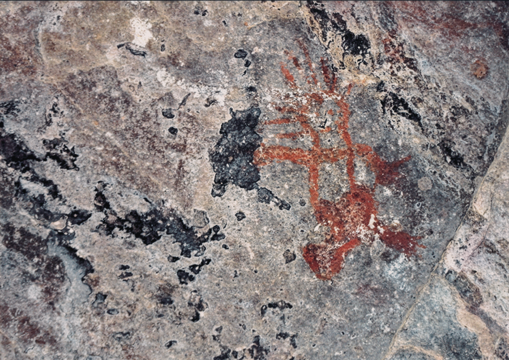 Rock Art Cave Art Cave Paintings Corinto Cave Gruta del Espíritu Santo Holy Spirit Grotto Morazán District El Salvador Archaeology