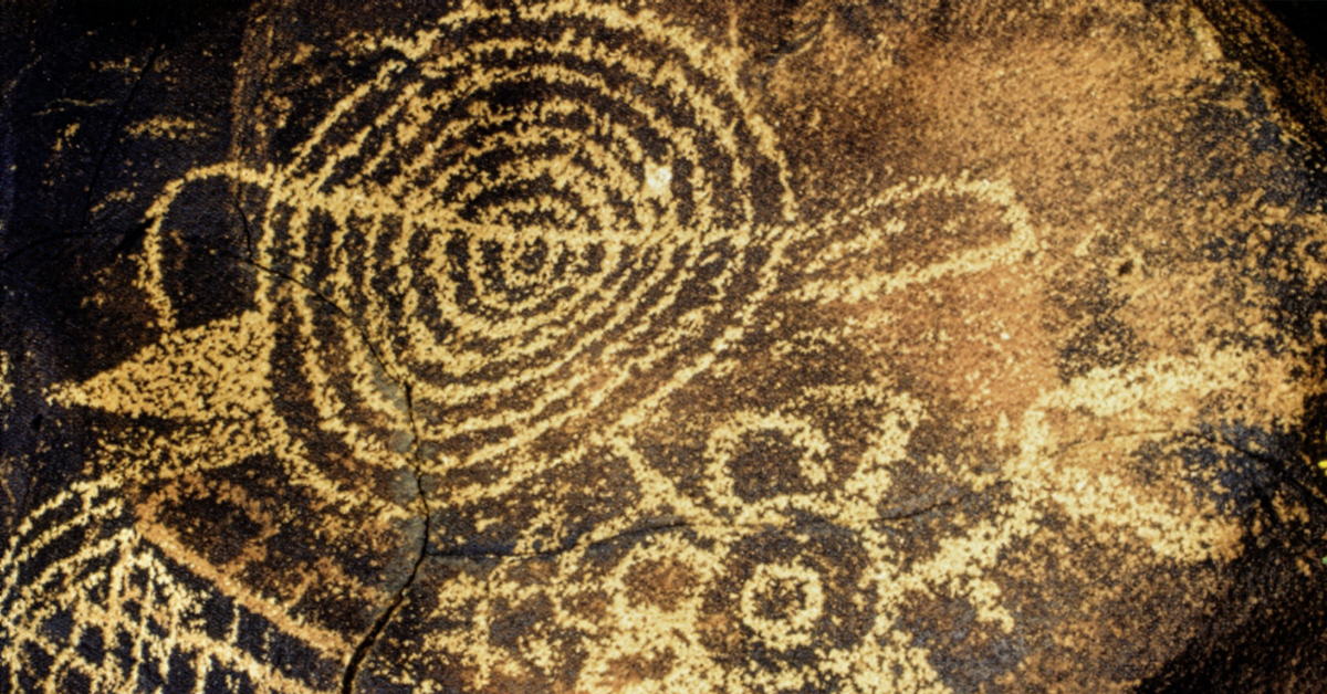 Bradshaw Foundation Facebook