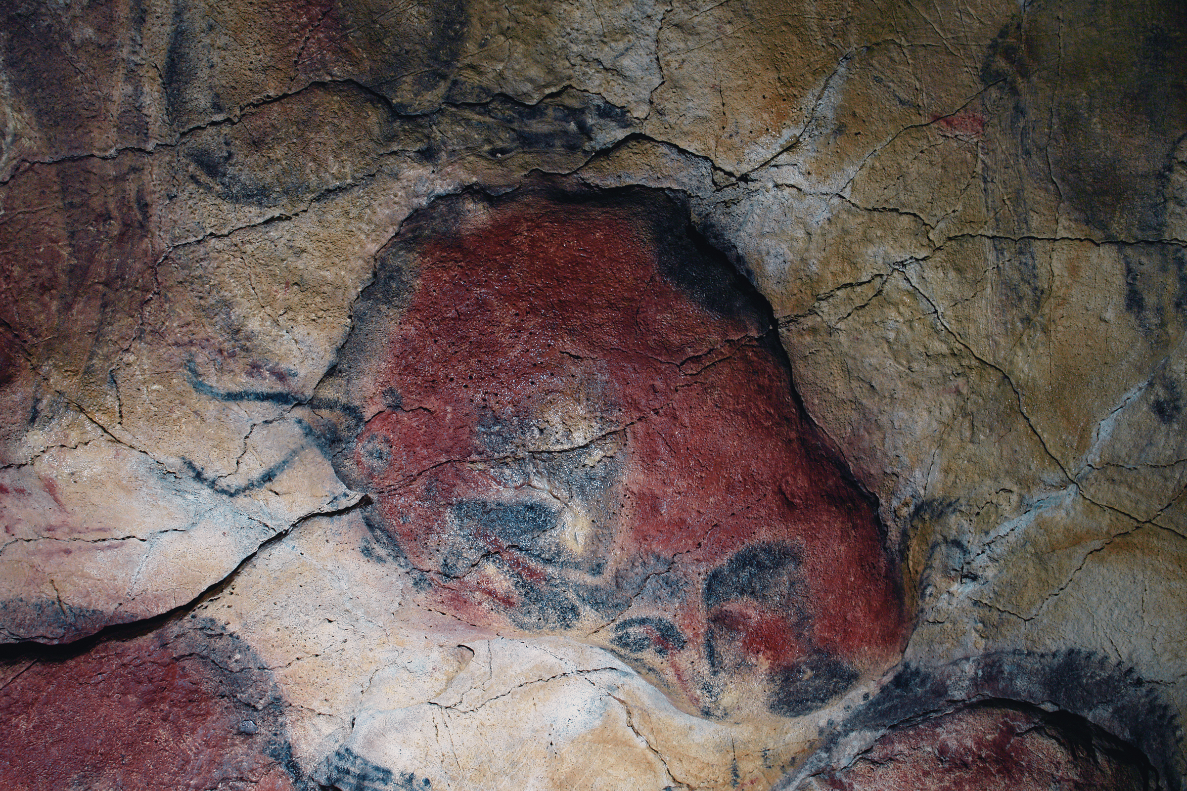 The famous sleeping Bisons from Altamira Cave Rock Art Bradshaw Foundation
