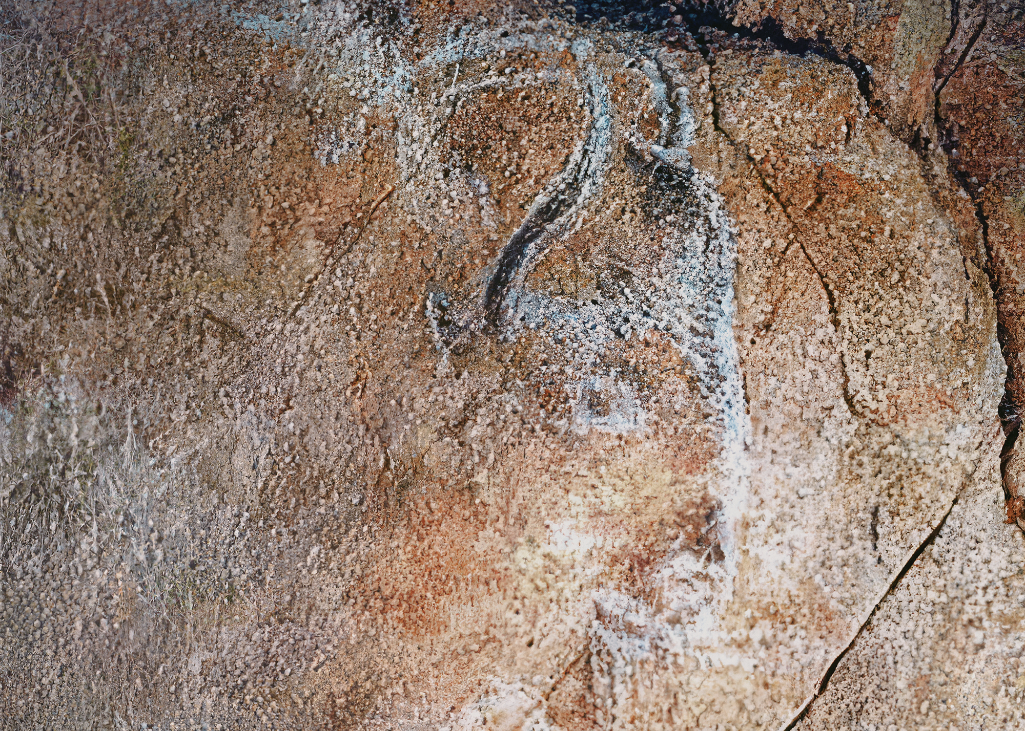 Engraved and painted bison found at Trois Frères