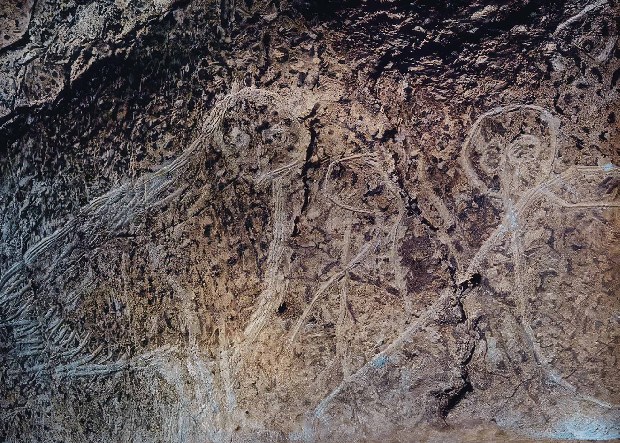 Engraved owls depicted in rock art at Trois Frères