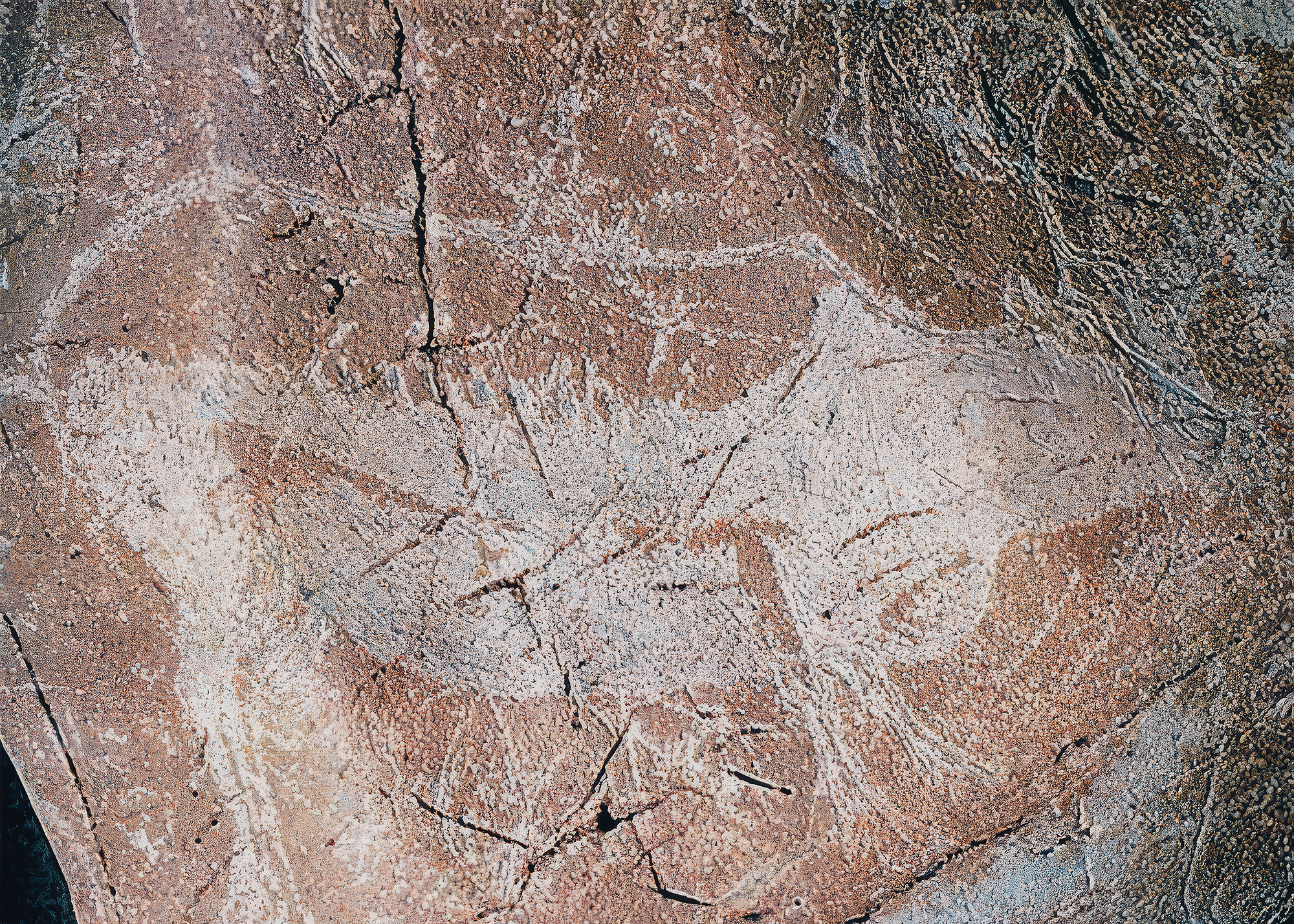 Engraved reindeer in cave art at Trois Frères