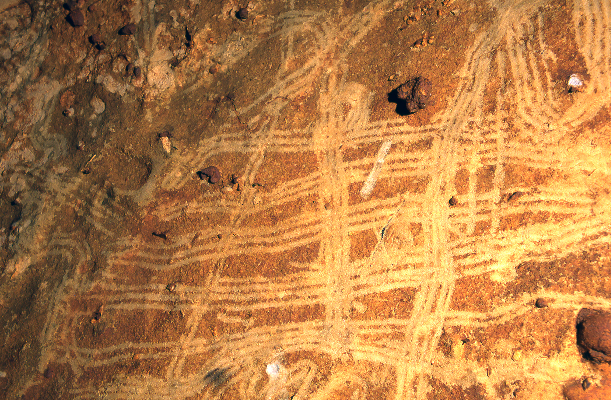 Cave art representations in the Rouffignac Cave