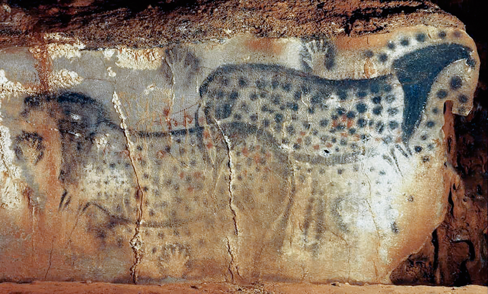 The Horses of Pech-Merle Cave in France