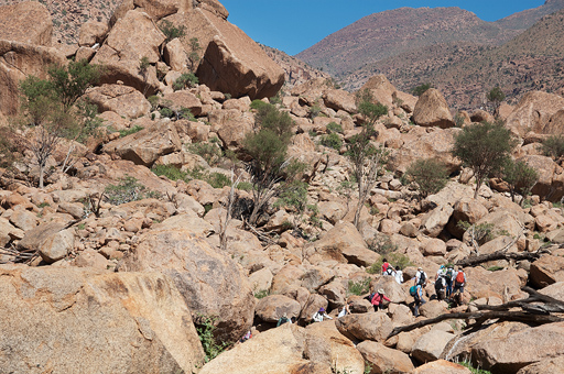 Getty Conservation Institute Rock Art: A cultural treasure at risk International Colloquium Namibia