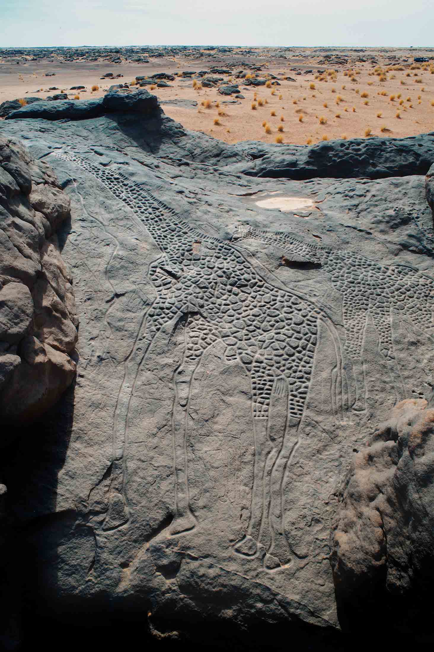 Dabous Giraffe Rock Art Petroglyph Carving Niger Africa Petroglyphs Carvings
