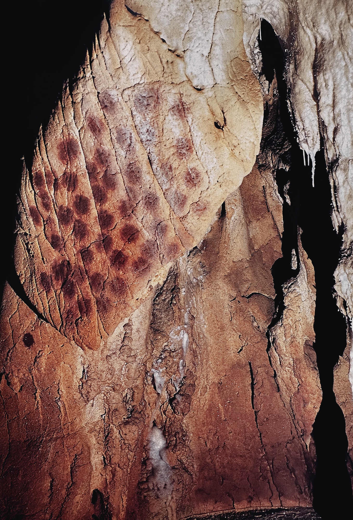 Rock Art Handprints Cave Paintings Art Chauvet Hand Motif Archaeology France