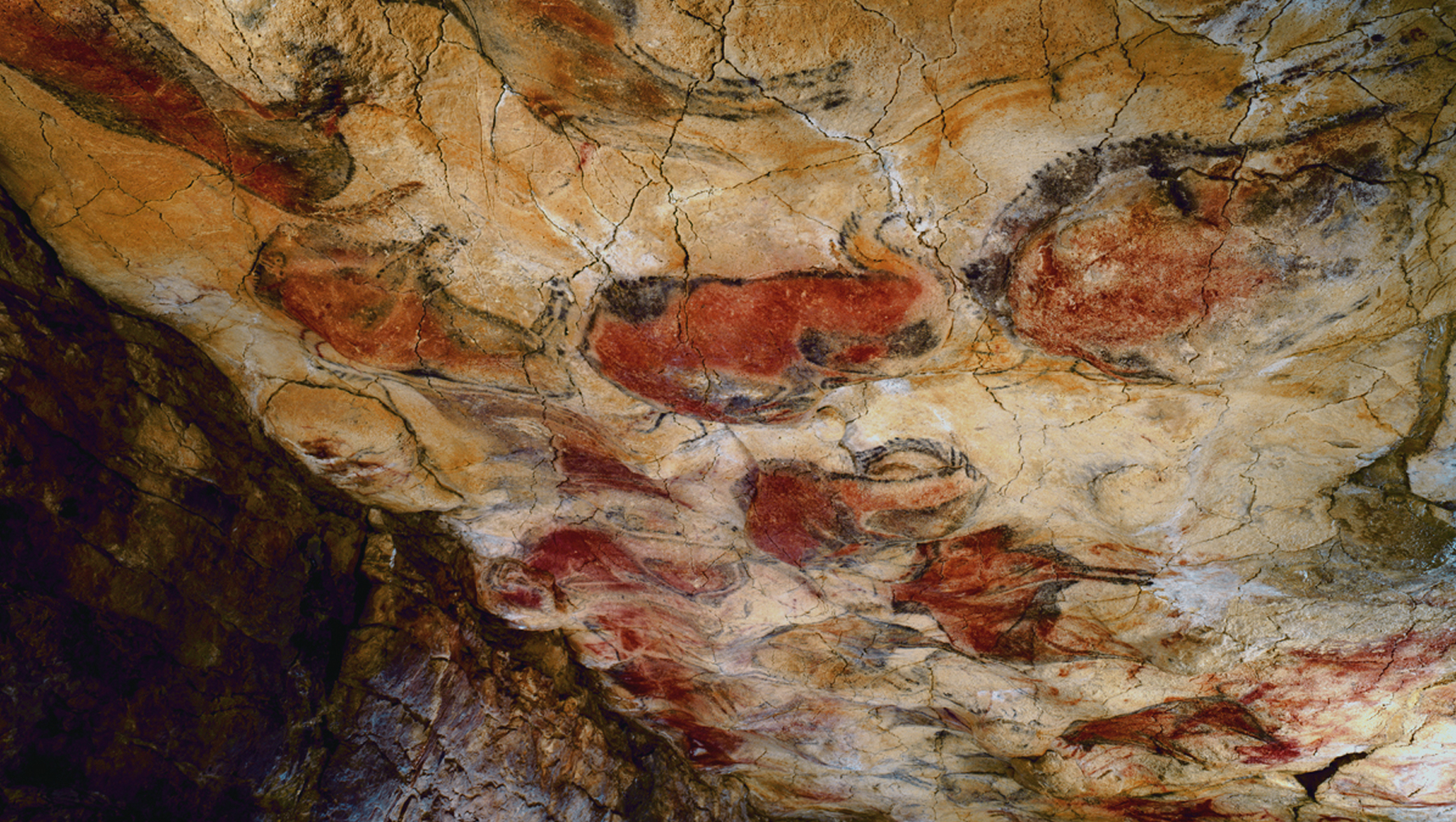Polychrome ceiling in the cave of Altamira