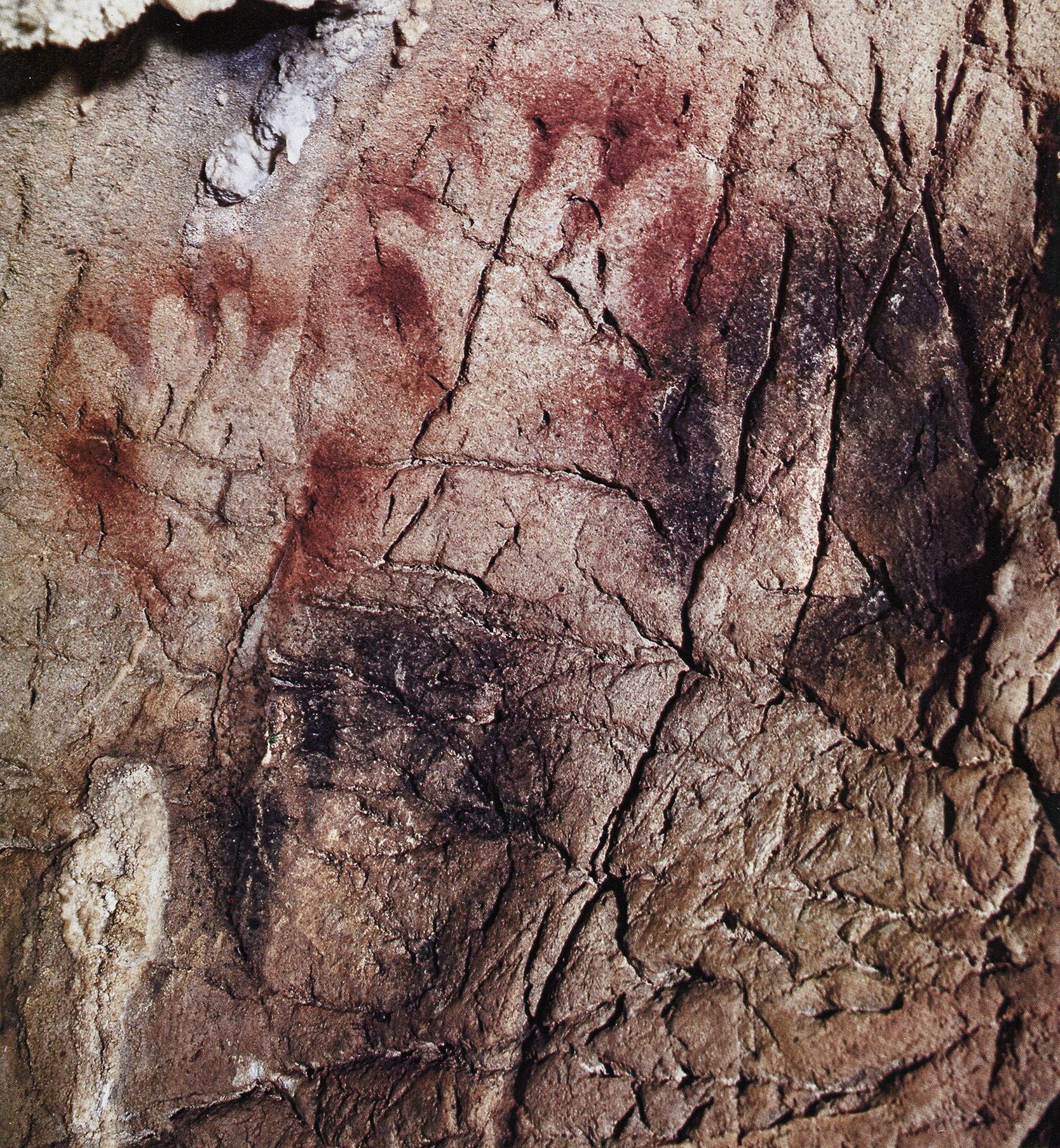Caves of Gargas Hands Paintings Archaeology