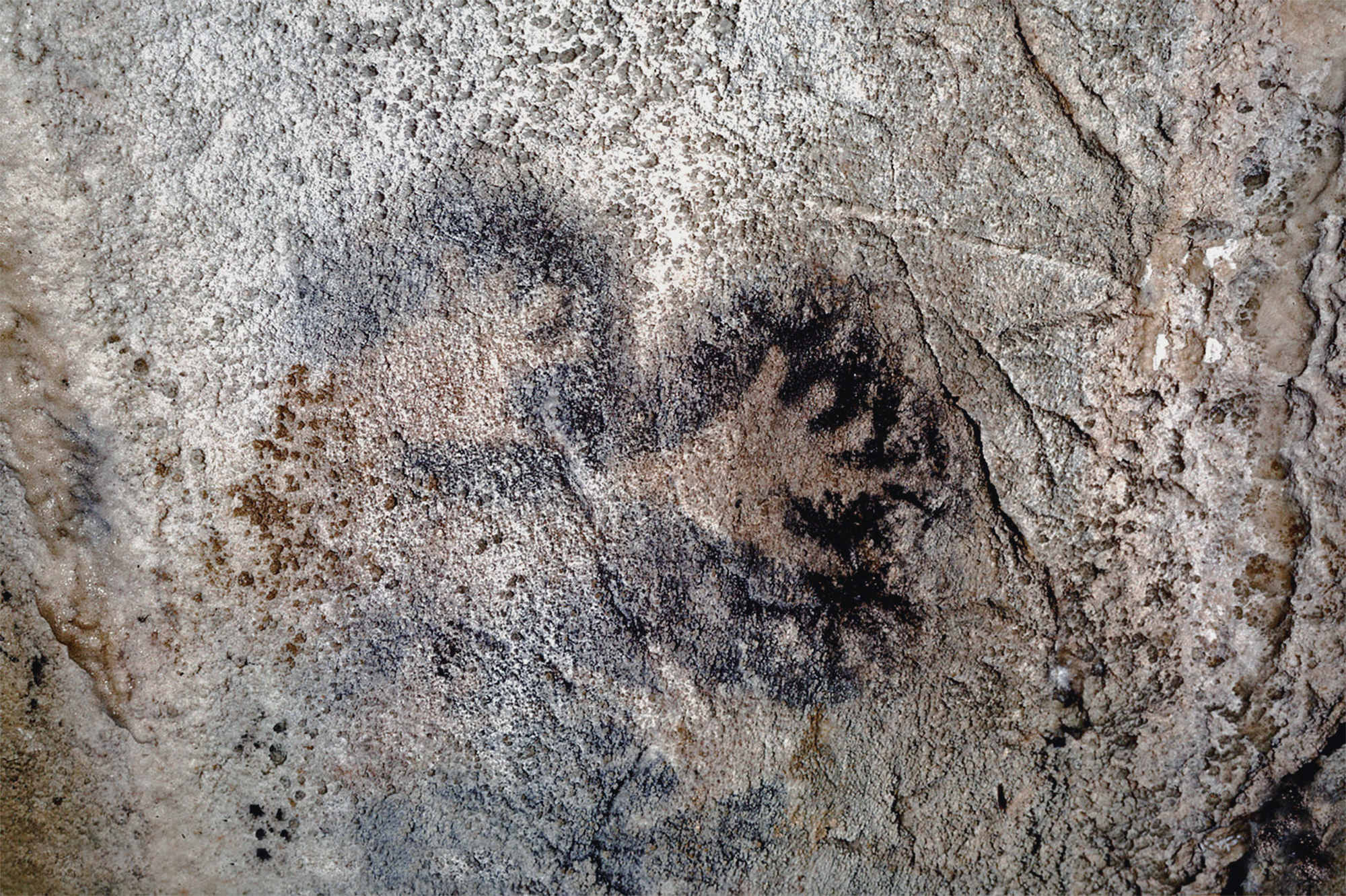 Rock Art Caves of Gargas Hands Paintings Archaeology