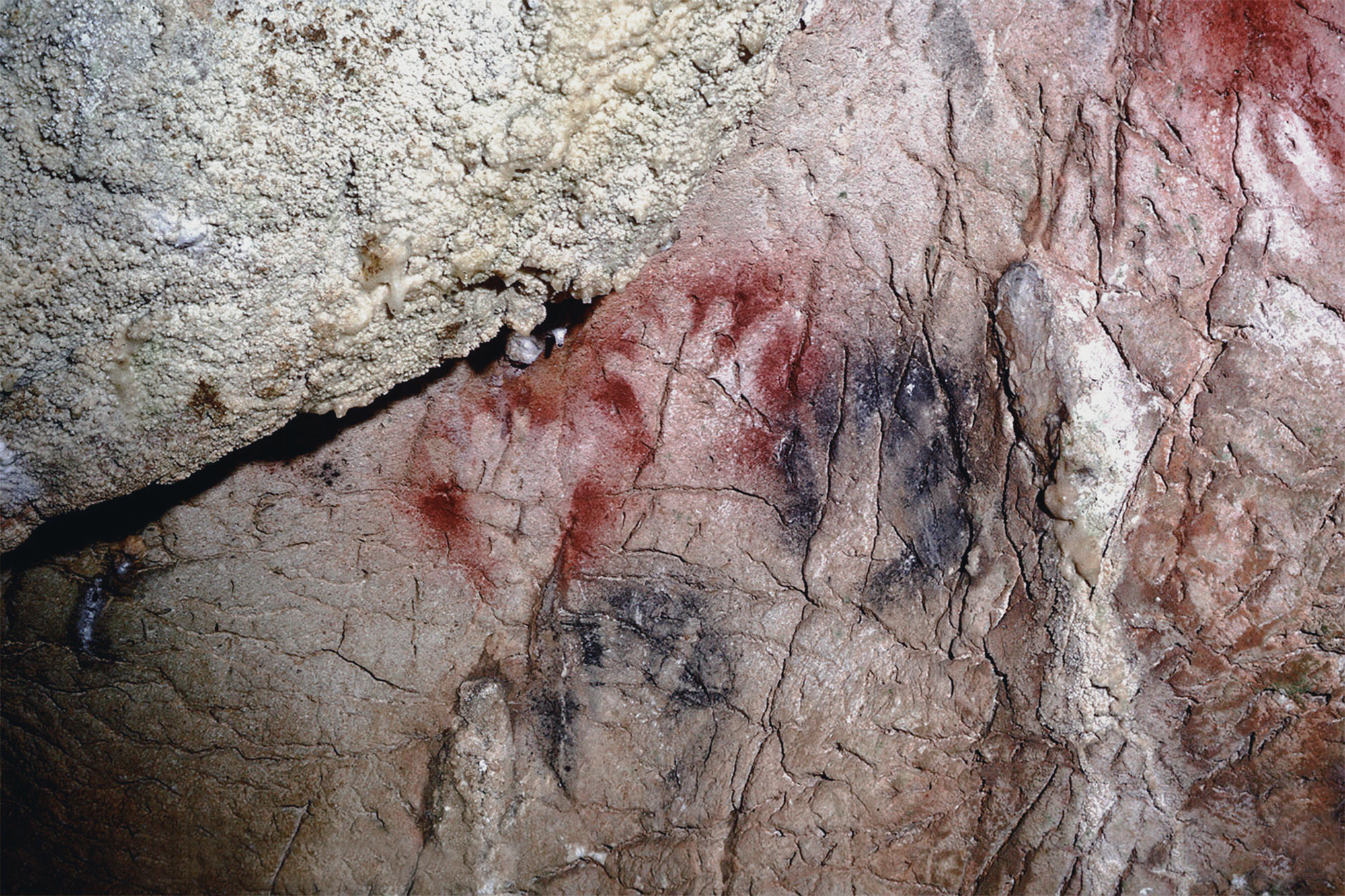 Rock Art Caves of Gargas Hands Paintings Archaeology