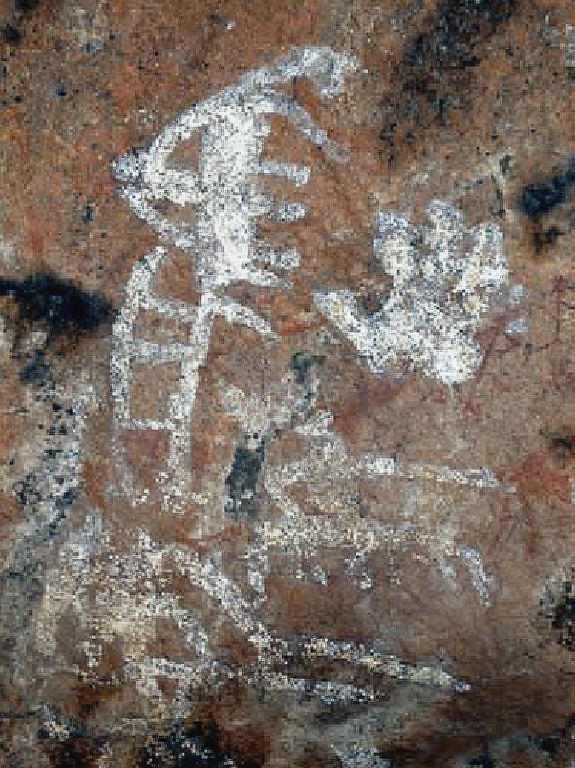 White handprint recently found in the unpublished Jaldafy site of the Pachmarhi area Madhya Pradesh