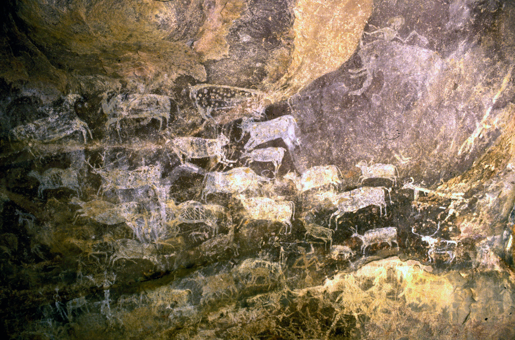India Rock Art Cave Paintings Characteristics Bradshaw Foundation