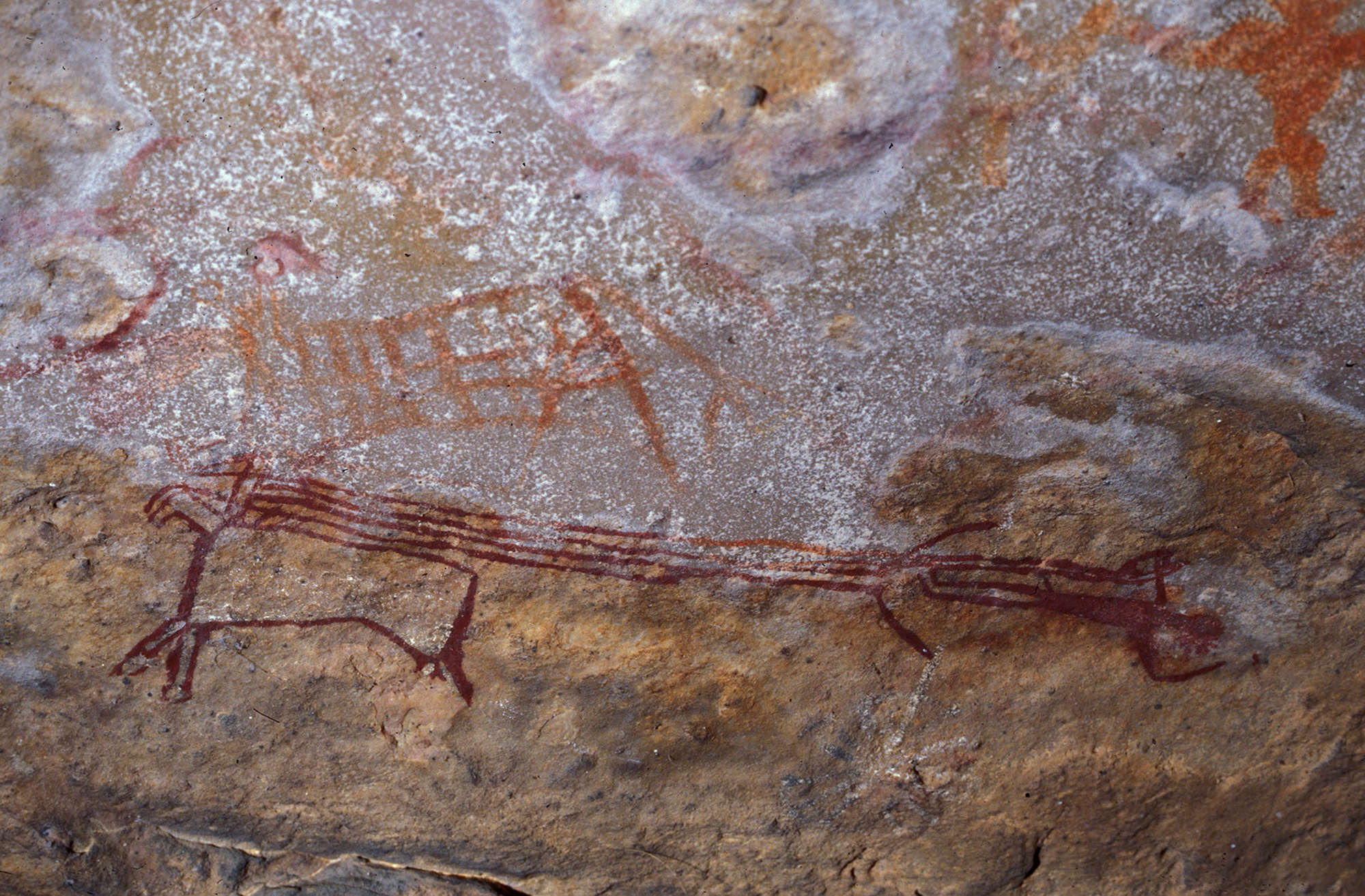 India Rock Art Cave Paintings Ethnology Bradshaw Foundation