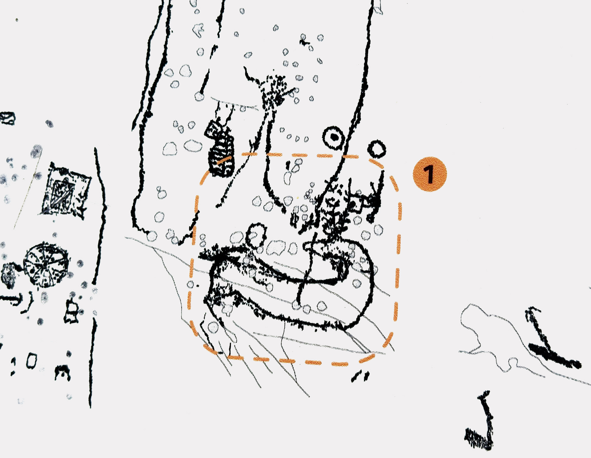 A tracing of the deer