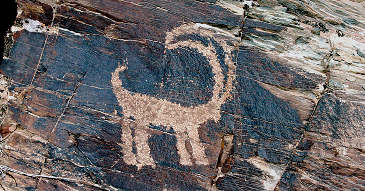 Bradshaw Foundation Facebook