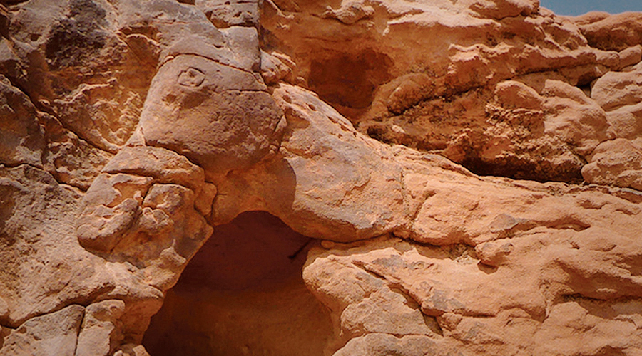 Life-sized reliefs of camels and equids: The Camel Site in Saudi Arabia Rock Art