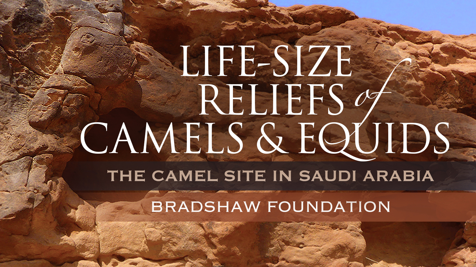 Life-sized reliefs of camels and equids: The Camel Site in Saudi Arabia