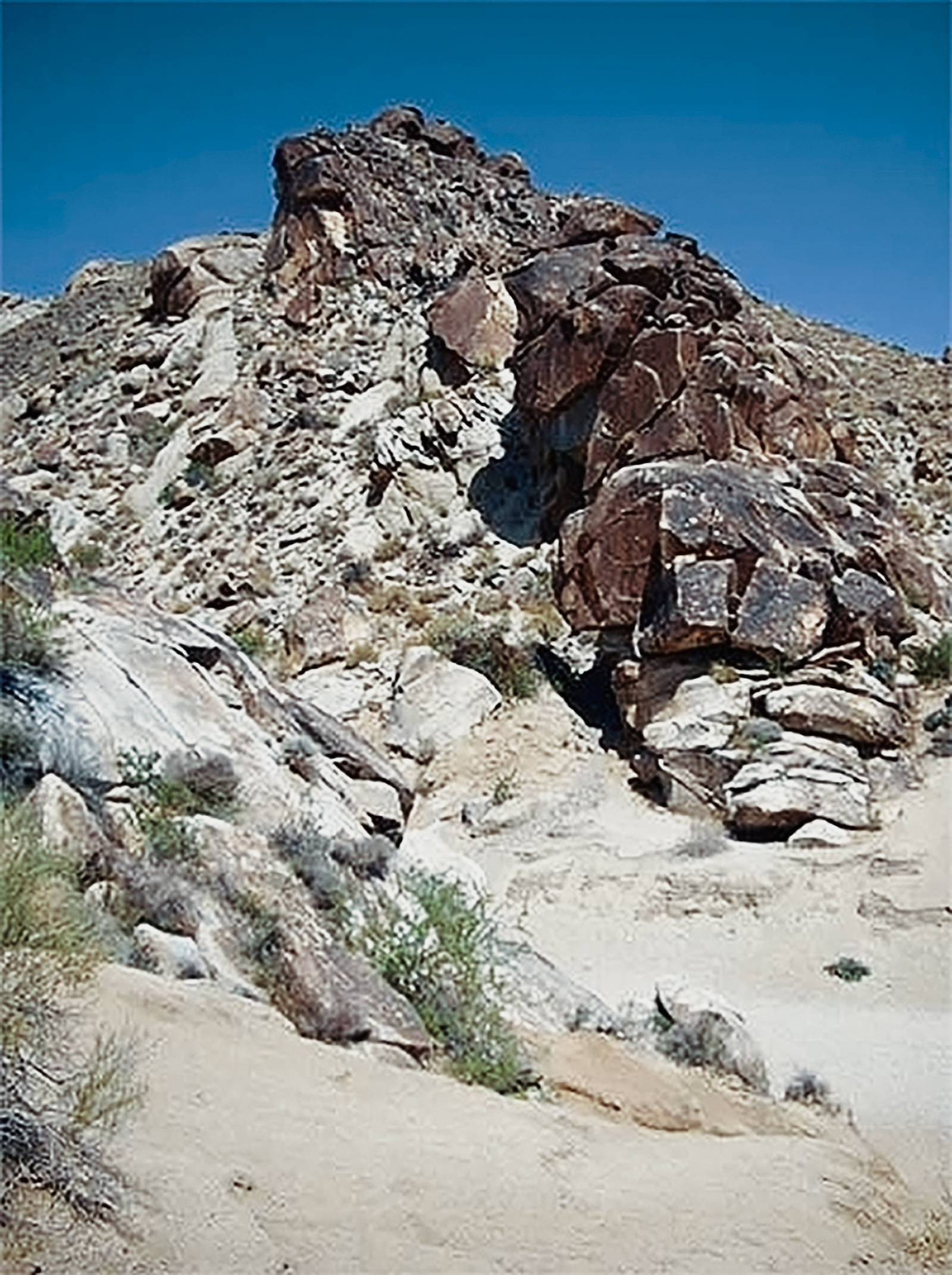 Grapevine Canyon Petroglyph Site Nevada Rock Art America United States USA Foundation Bradshaw Foundation