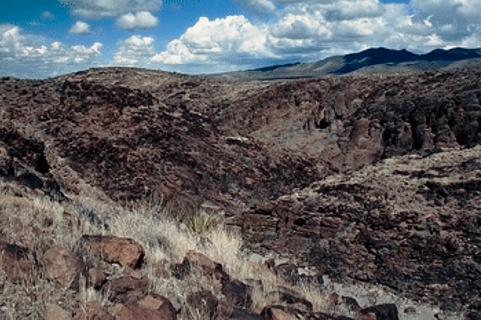Sloan Canyon National Conservation Area Nevada Rock Art America United States USA Foundation Bradshaw Foundation