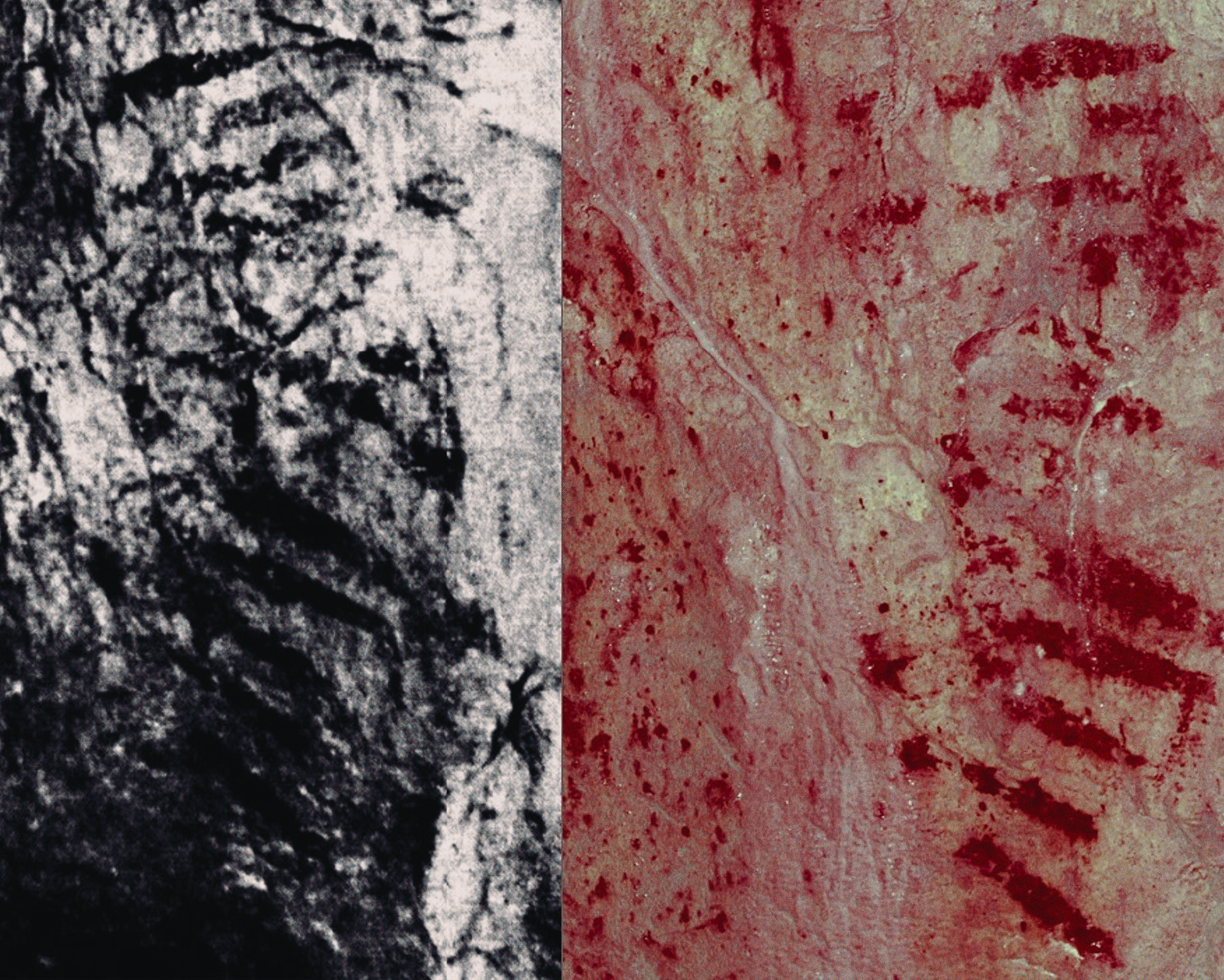 The rock art was first discovered in 1912 (left) but not recognized as art