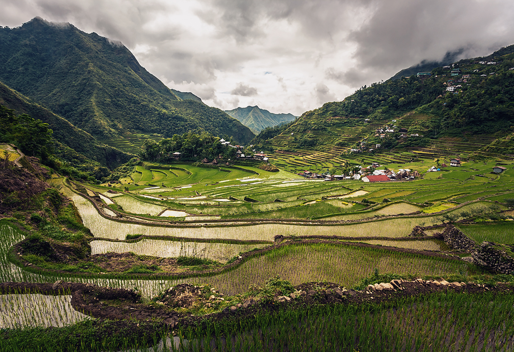 The Batad rice terraces of the Philippine Cordilleras, the first site to be included in the UNESCO World Heritage List cultural landscape category in 1995