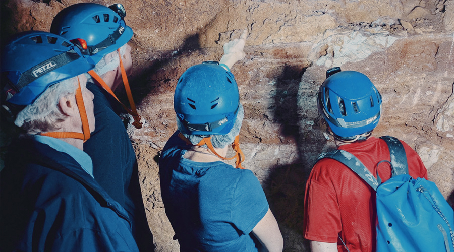 Bradshaw Foundation Latest News