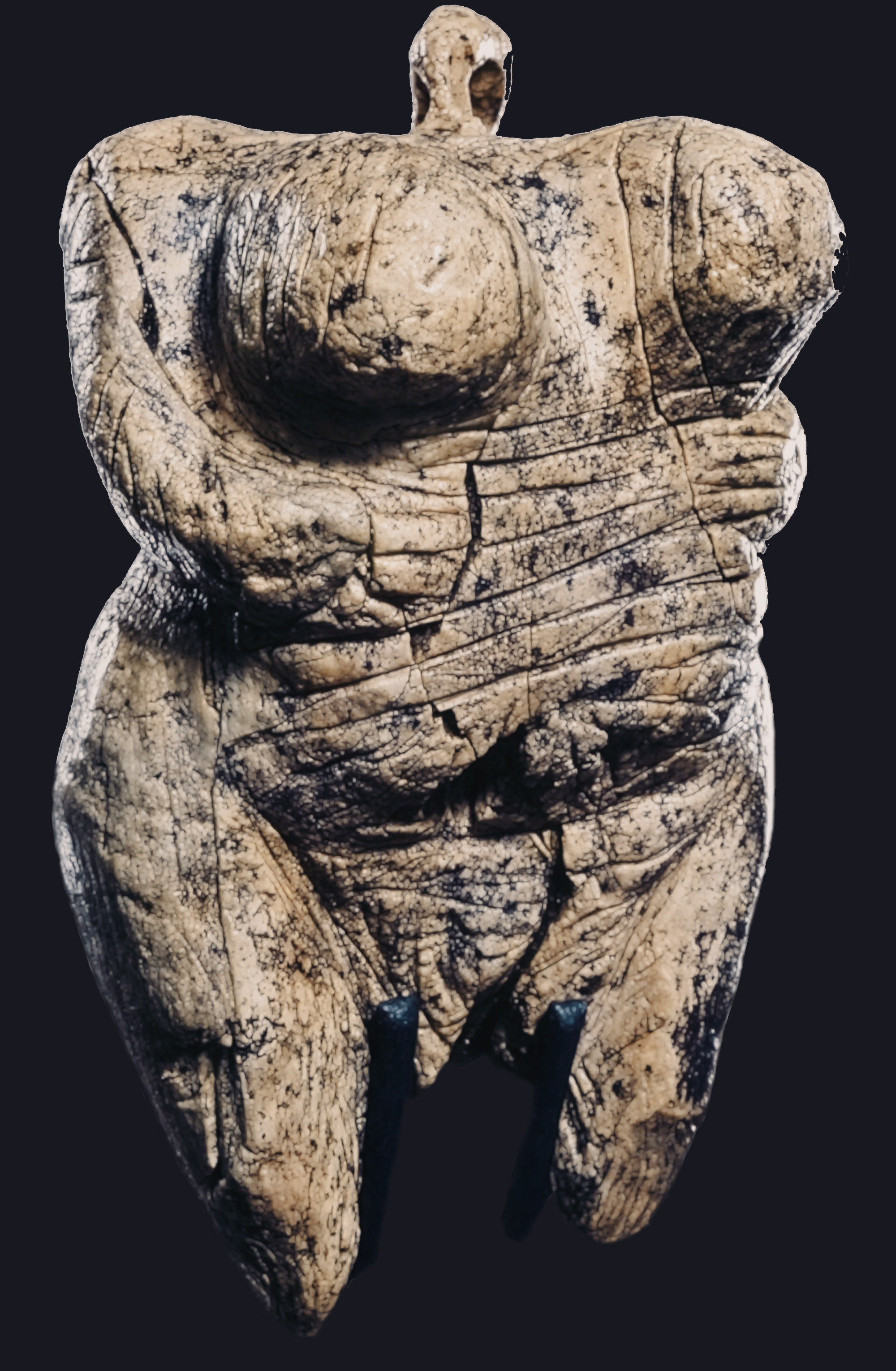 The Hohle Fels figurine, an Upper Paleolithic figurine made of mammoth ivory unearthed in 2008 in Hohle Fels, a cave near Schelklingen, Germany. It is dated to between 40,000 and 35,000 years ago