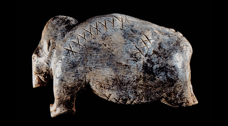 Bradshaw Foundation Latest News