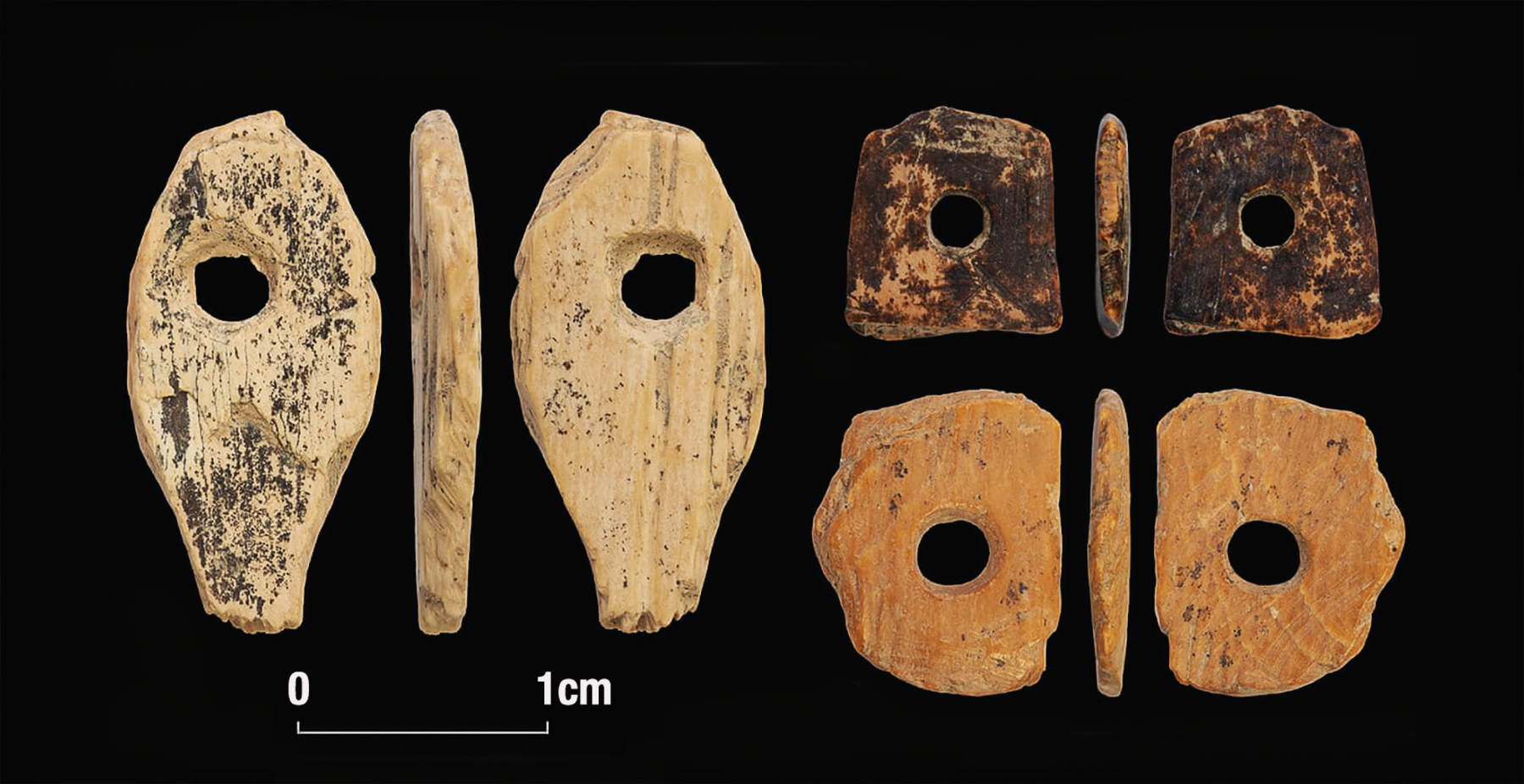 Denisovan ornaments made from mammoth tusks from Denisova Cave in Siberia