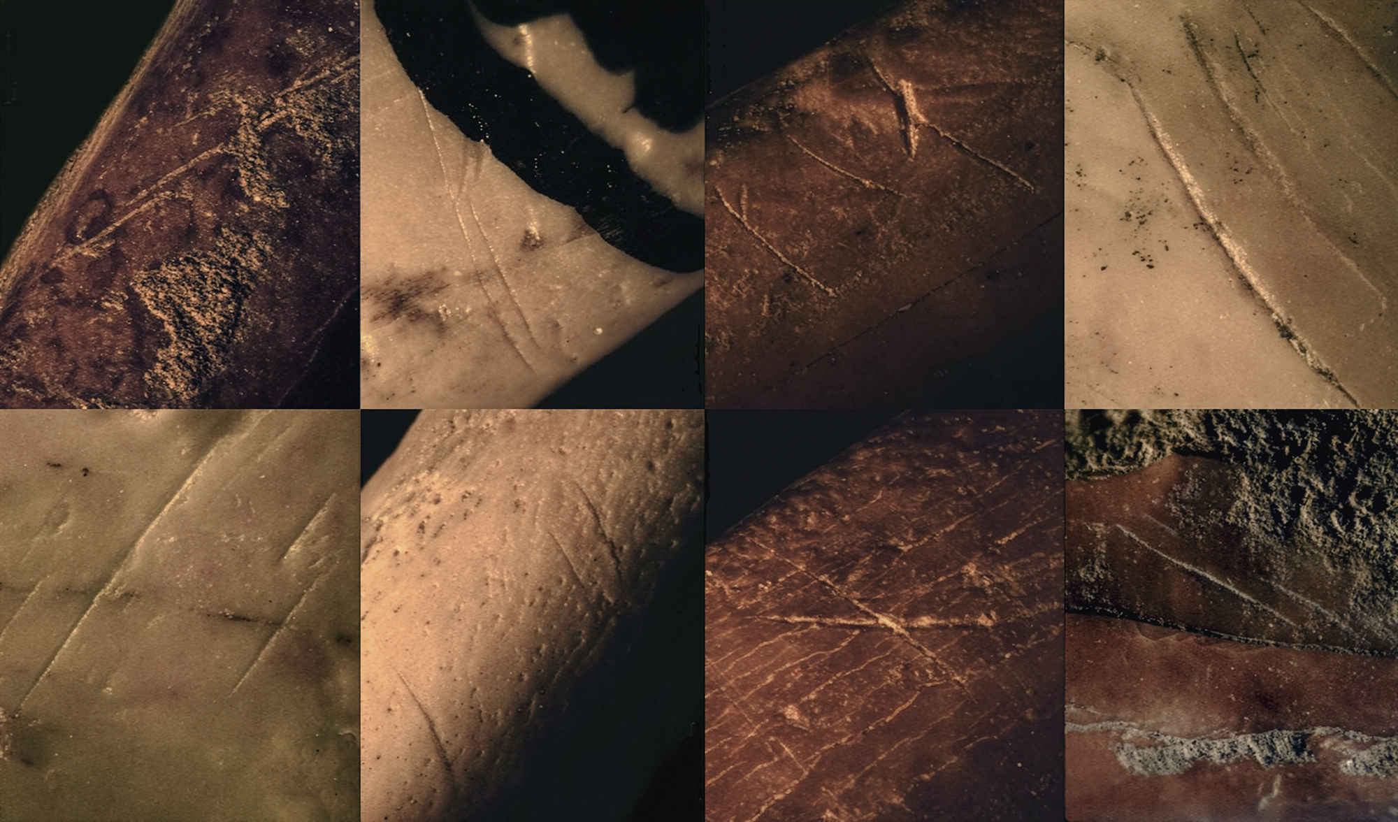 Cut marks found on bird bones discovered in Neanderthals sites in Gibraltar