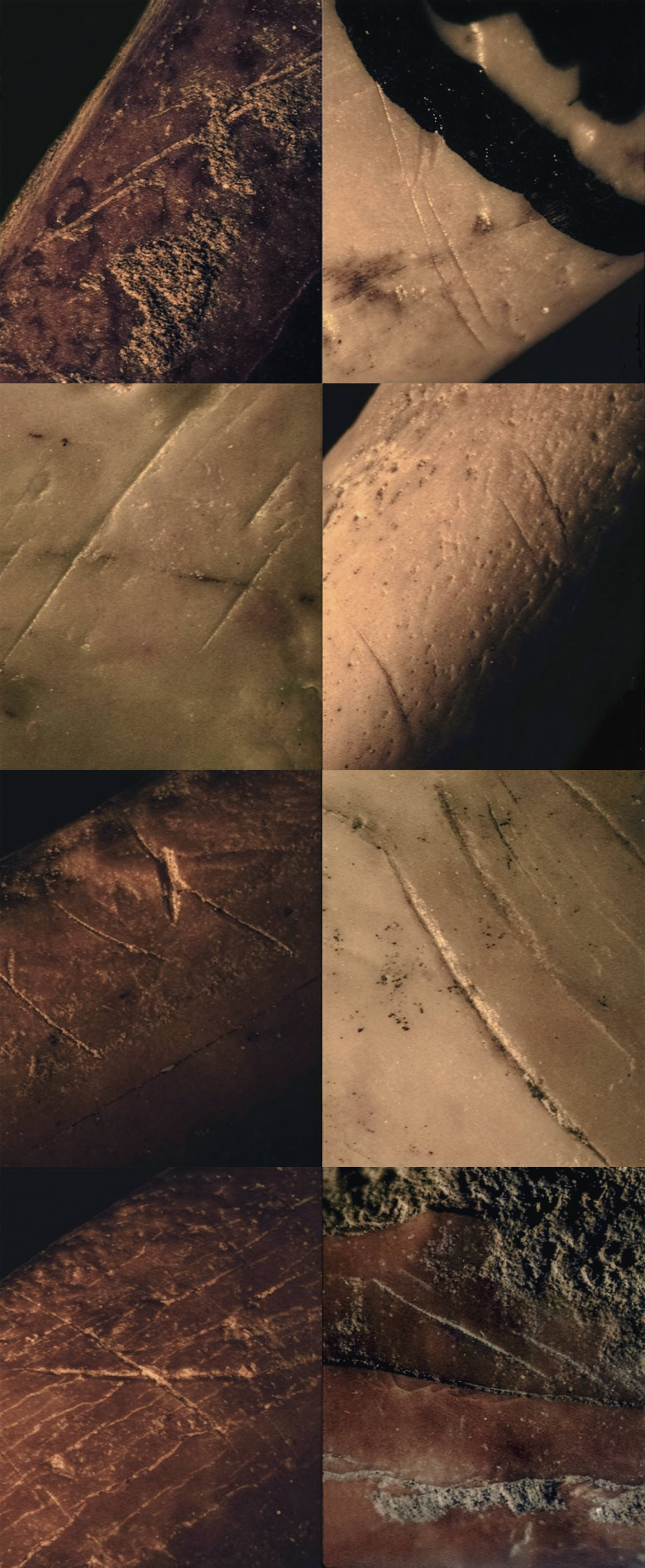 Cut marks found on bird bones discovered in Neanderthals sites in Gibraltar