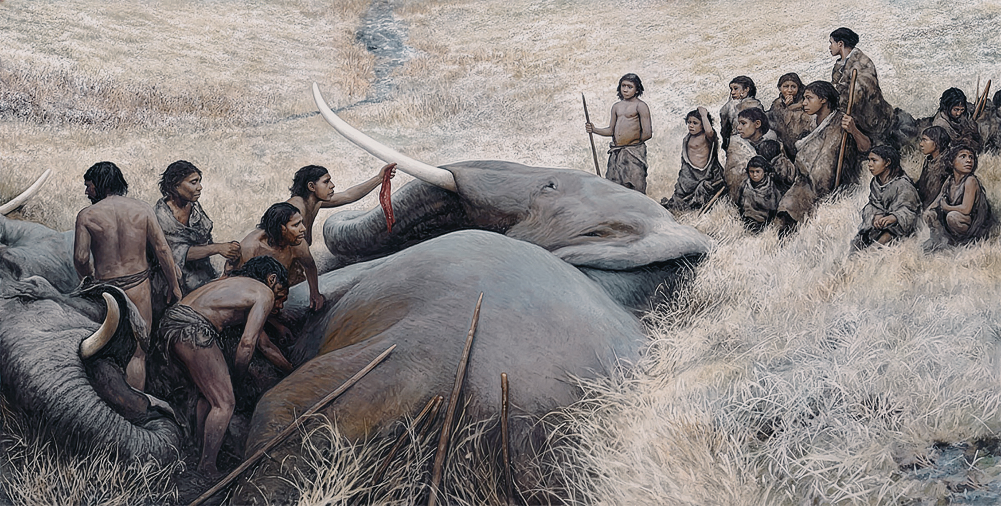 Large groups of Neanderthals gathered to hunt, butcher, and eat elephants more than 125,000 years ago