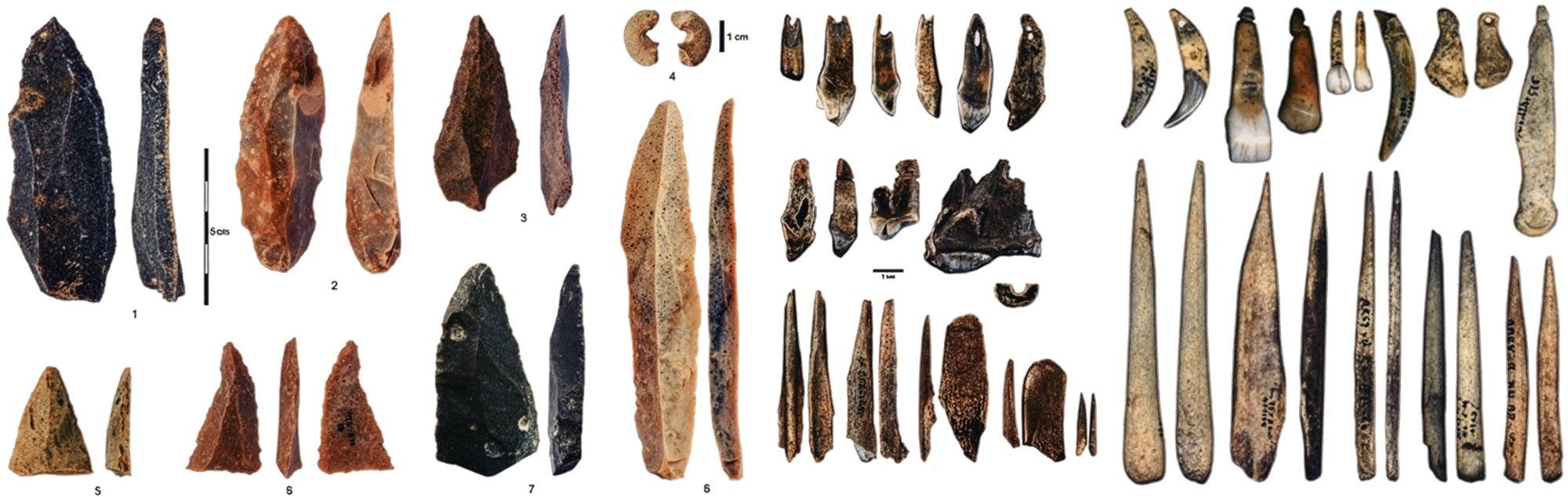 Stone artefacts (from the Initial Upper Palaeolithic at Bacho Kiro Cave. Personal ornaments and bone tools rom Bacho Kiro Cave, with similar objects from Grotte du Renne in France