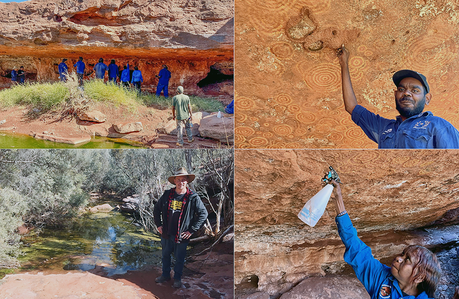 The Ltyentye Apurte rangers and Kaltukatjara rangers working together (top left) to clean and conserve the Utyetye rock art. Ltyentye Apurte ranger Anton McMillan (top right) showing swallow nests on the rock art. Ltyentye Apurte ranger coordinator Peter Worsnop (lower left). Kaltukatjara ranger Edin Long (lower right) showing the Ltyentye Apurte rangers how to use the chemicals properly