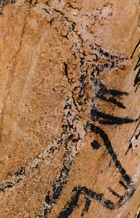 Bison Niaux Cave Art Paintings France Palaeolithic