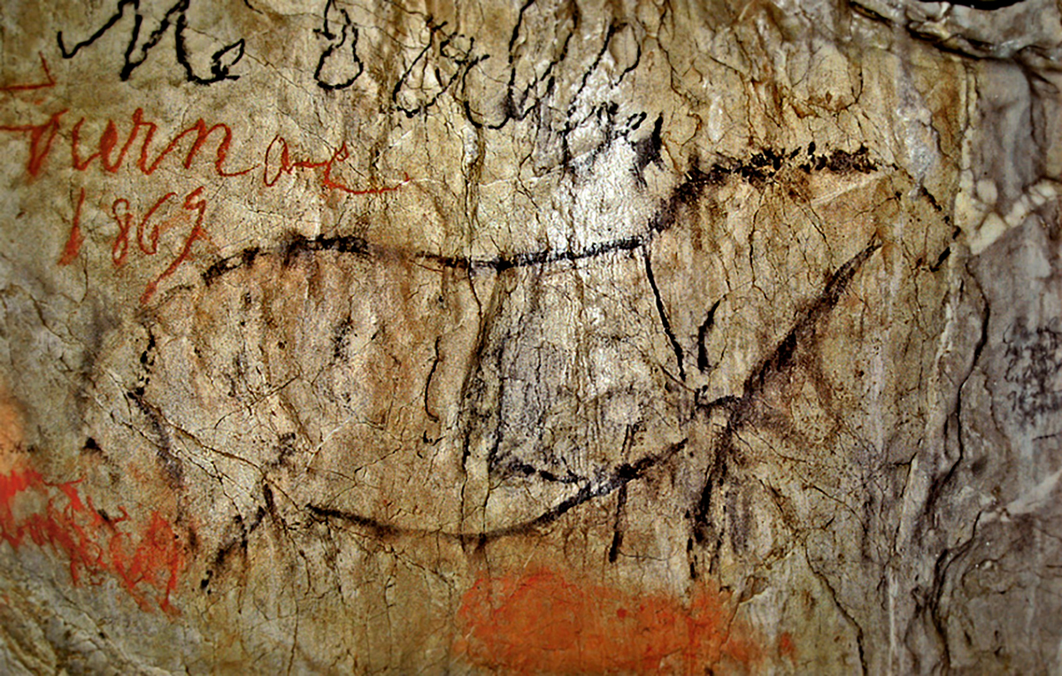 Horse in the deeper galleries partly
covered in modern graffiti