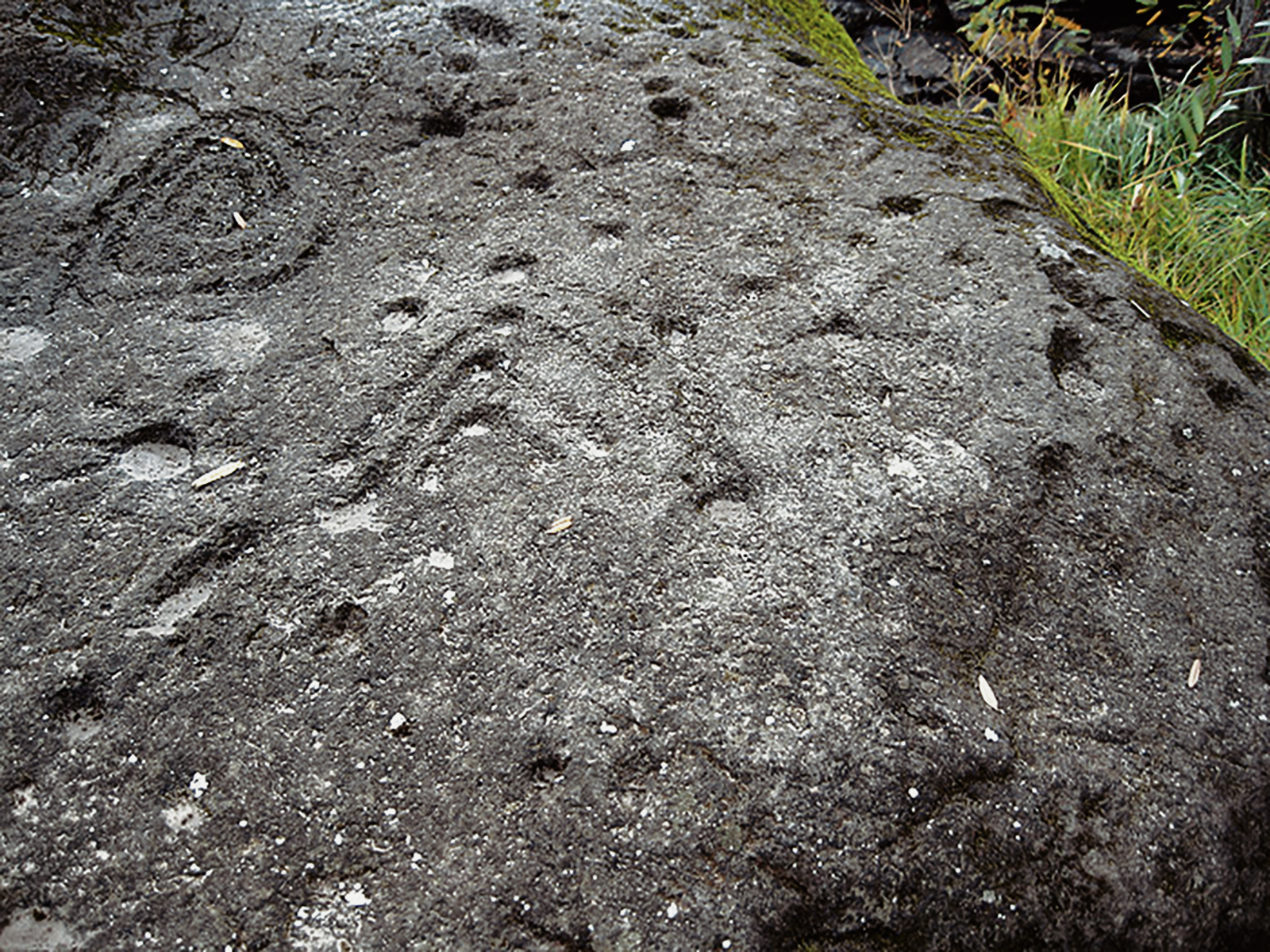 Rock Art Oregon Territory Gentry's Landing Petroglyphs Pictographs Bradshaw Foundation Archaeology