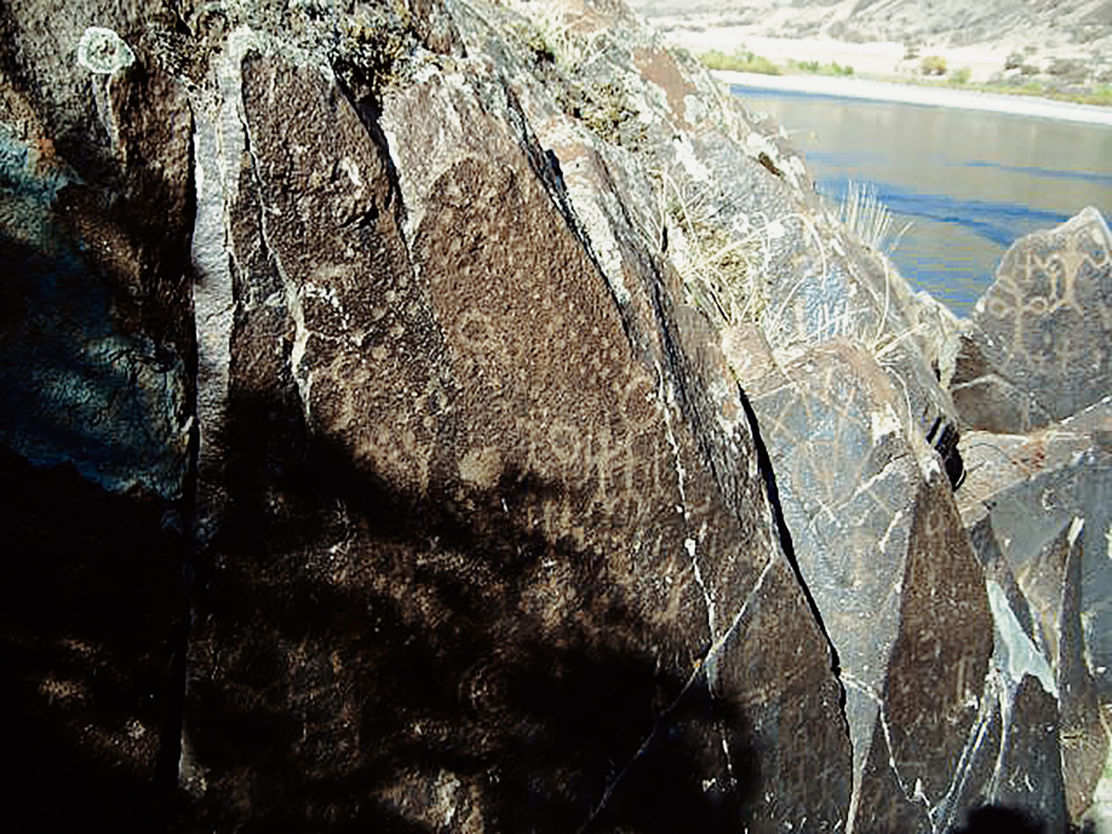 Rock Art Oregon Territory Buffalo Eddy Petroglyphs Pictographs Bradshaw Foundation Archaeology