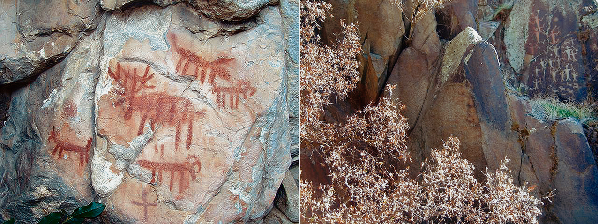 Rock Art Oregon Territory Middle Fork Salmon River Buffalo Eddy Petroglyphs Pictographs Bradshaw Foundation Archaeology USA America United States