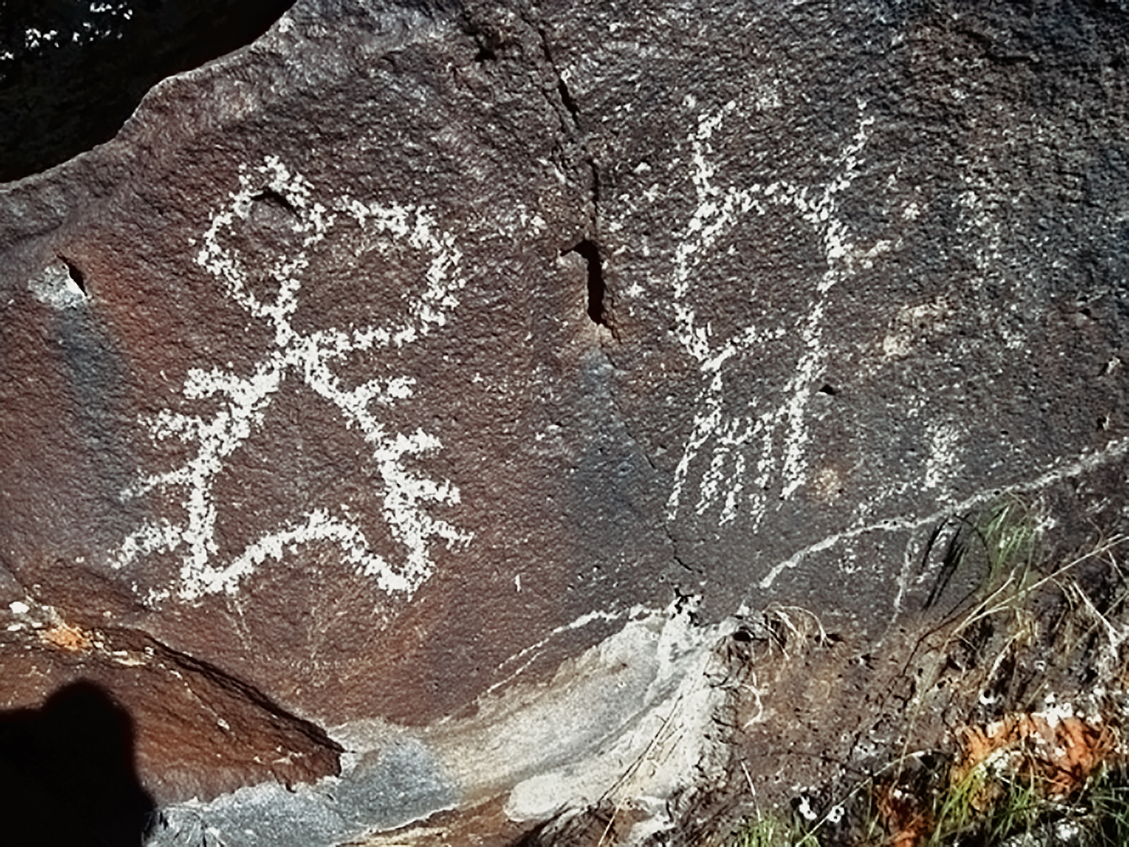 Rock Art Oregon Territory Mccain Creek Petroglyphs Pictographs Bradshaw Foundation Archaeology