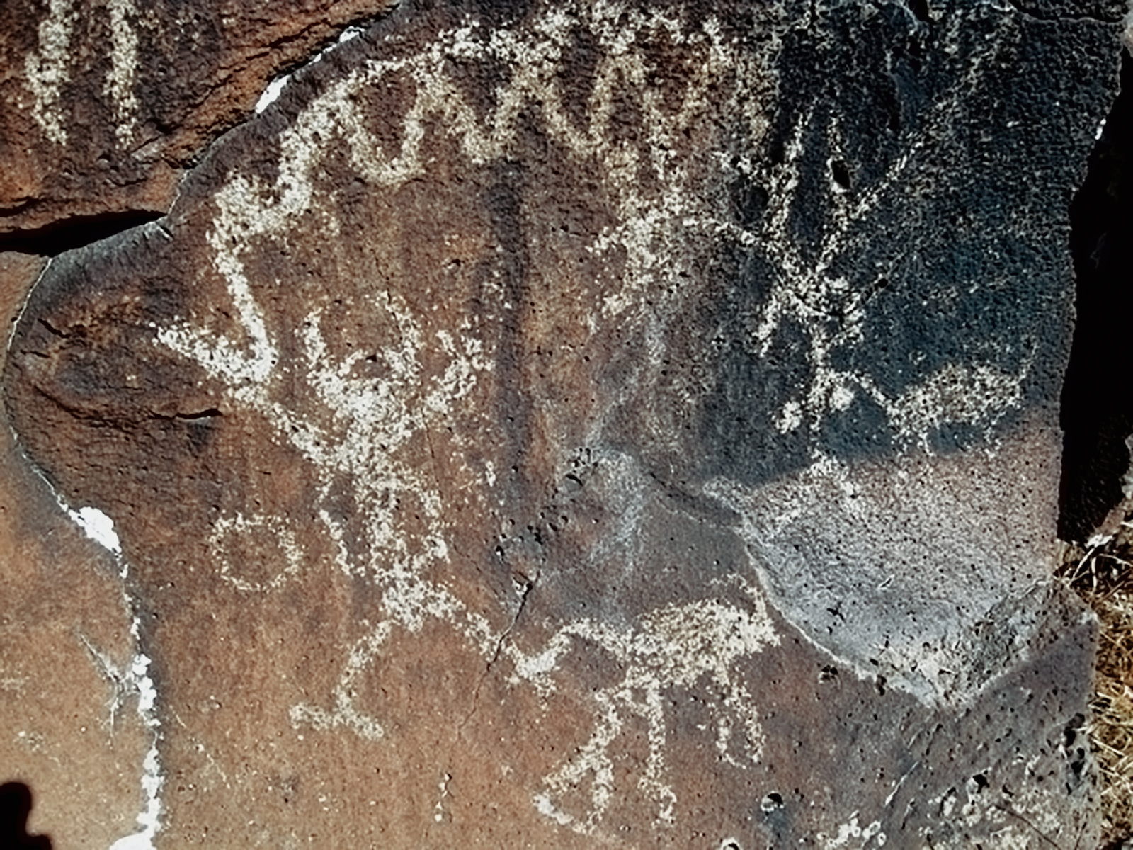 Rock Art Oregon Territory Mccain Creek Petroglyphs Pictographs Bradshaw Foundation Archaeology