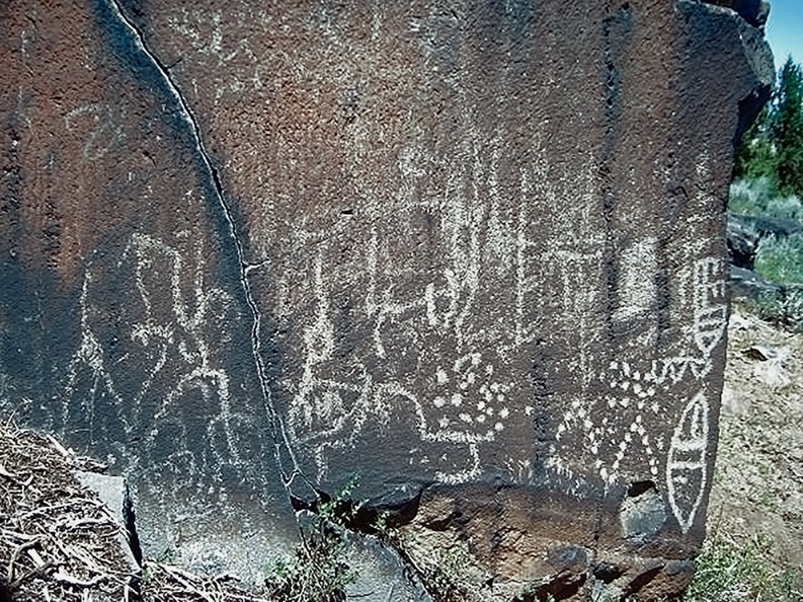 Rock Art Oregon Territory North High Rim Petroglyphs Pictographs Bradshaw Foundation Archaeology