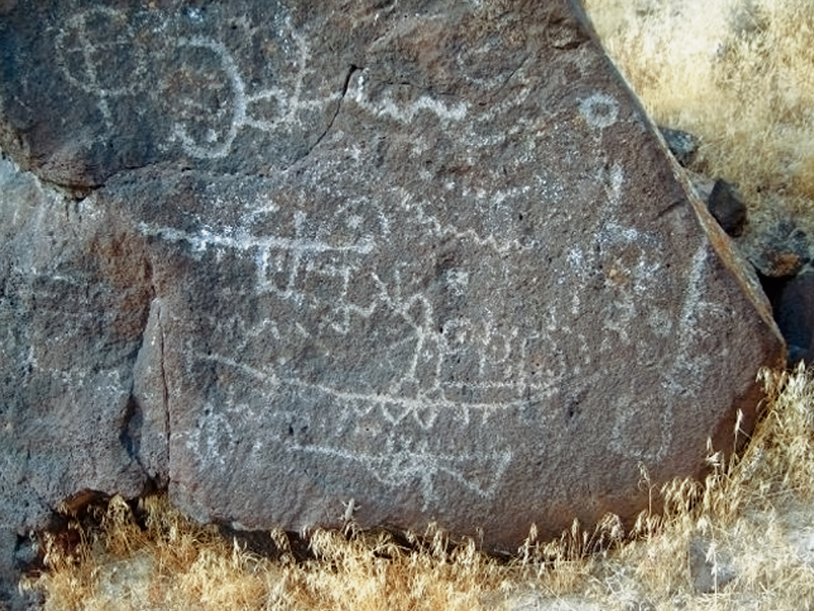 Rock Art Oregon Territory Map Rock Petroglyphs Pictographs Bradshaw Foundation Archaeology