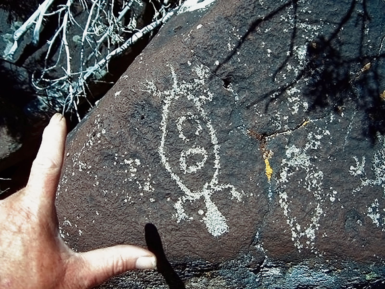 Rock Art Oregon Territory West of Jacobs Cabin Petroglyphs Pictographs Bradshaw Foundation Archaeology