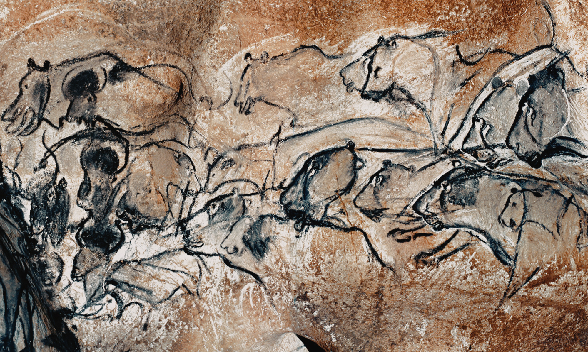 Cave paintings of Chauvet in France