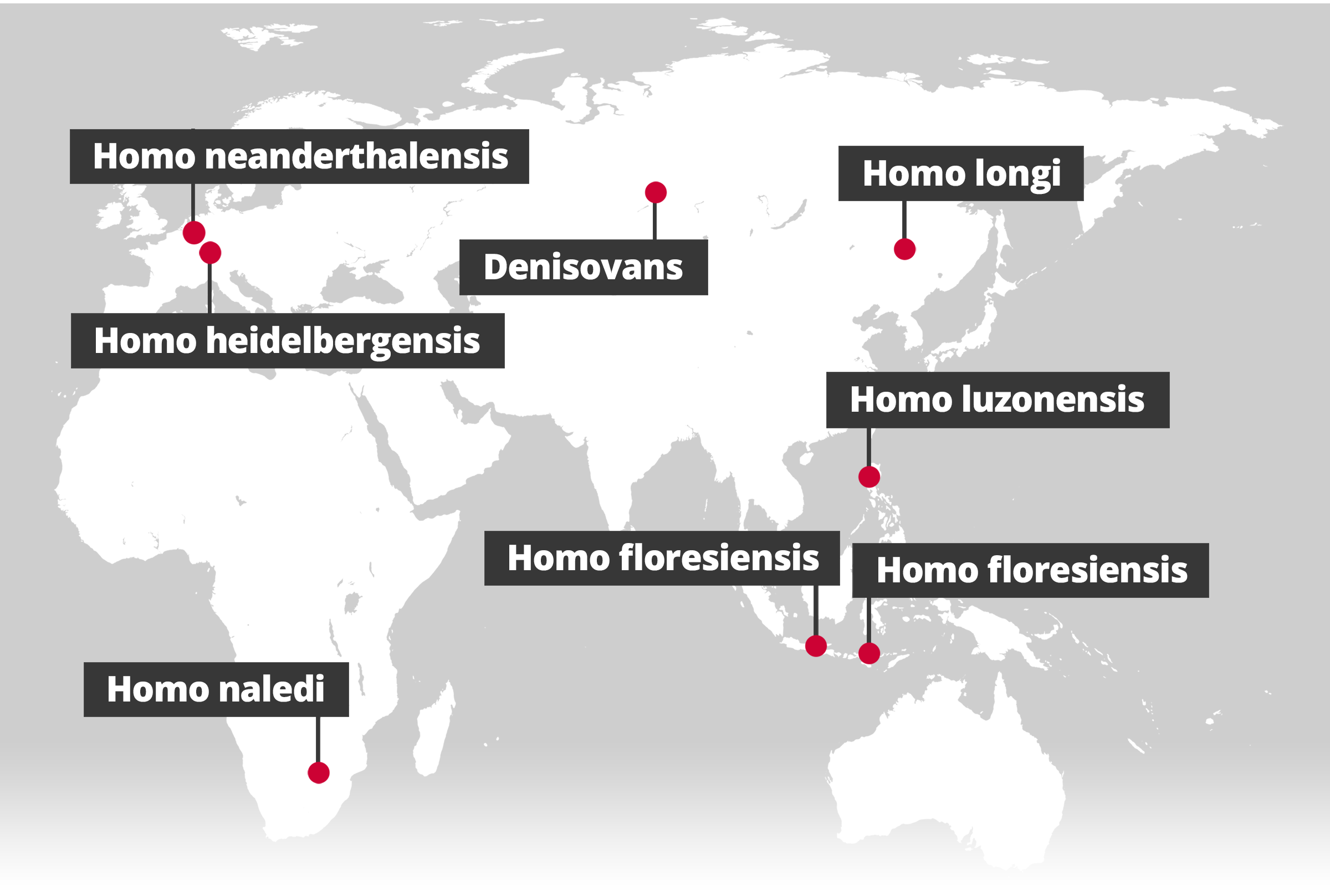 Hominin species discoveries